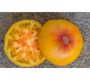 Dwarf tomatoes