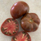 Dwarf Maralinga (Dwarf Maralinga) 10 seeds
