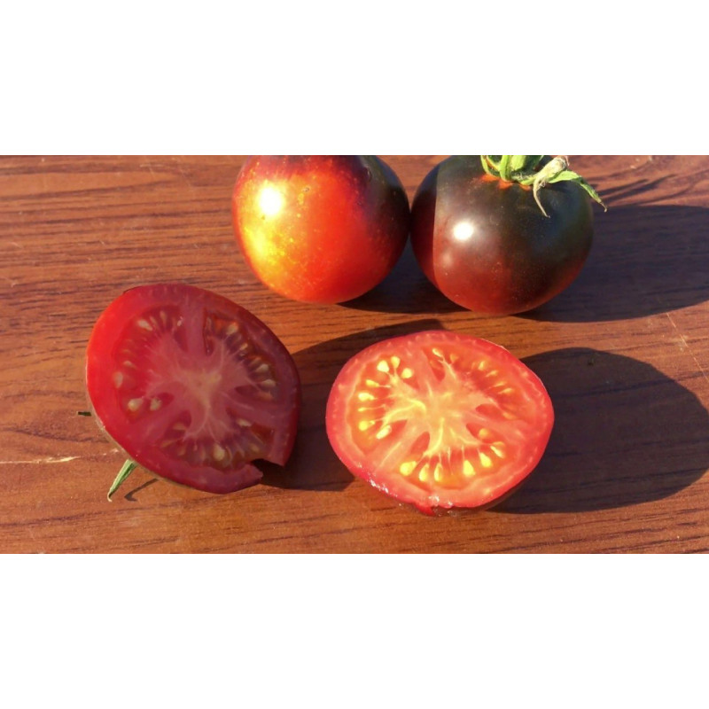 Tomato seeds Schwarz Sarah 15 us