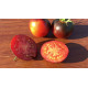 Tomato seeds Schwarz Sarah 15 us