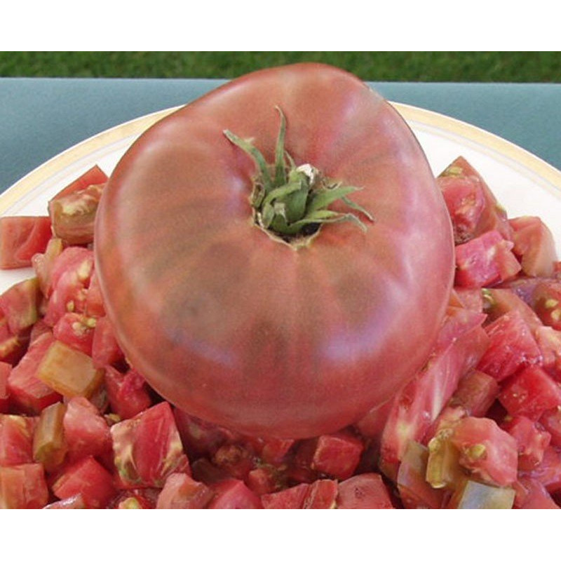Tomato seeds Schwarz Sarah 15 us
