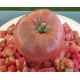 Tomato seeds Schwarz Sarah 15 us