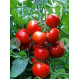 Tomato seeds Seeds from Lazarev Agronaut 0.1 g (15-30 seeds)