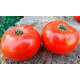 Tomato seeds Seeds from Lazarev Agronaut 0.1 g (15-30 seeds)