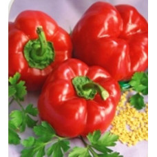 Pepper seeds "from Lazarev" Alexander (20-50) seeds