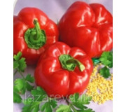 Peppers and eggplants