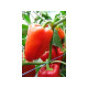 Pepper seeds "from Lazarev" Andrea 20-50 seeds