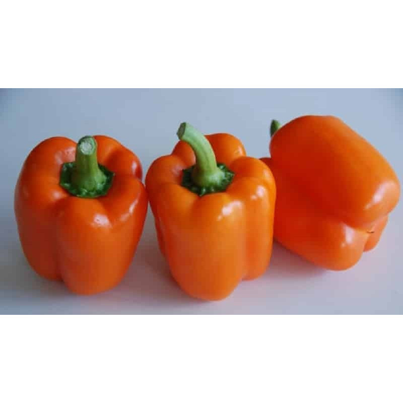 Pepper seeds "from Lazarev" Big Mama 20-50 seeds