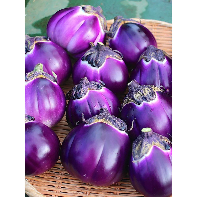 Eggplant seeds Violetta 30 us
