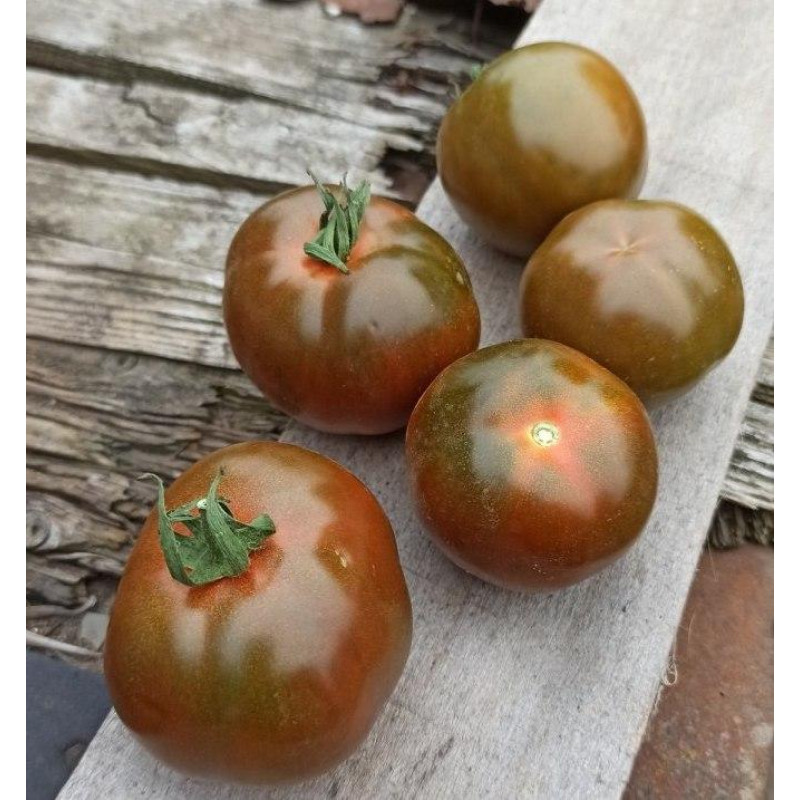 Tomato seeds Black delicacy F1 10 seeds