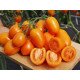 Tomato seeds Cream Orange F1 50 seeds