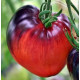 Tomato seeds Sergeant Pepper (Sgt Pepper's) 15 seeds