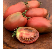 Tomato Professional Packs