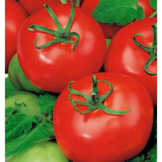 Tomato seeds Dwarf Dipper's Delight 10 seeds