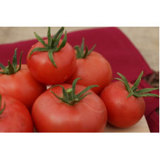 Tomato seeds Dwarf Confetti 10 seeds