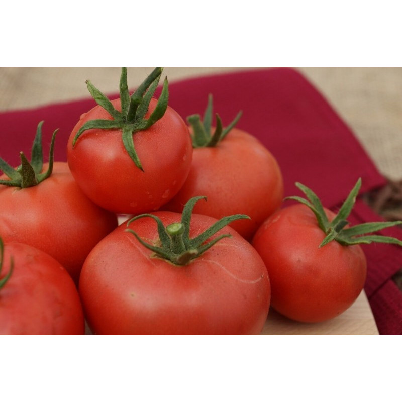 Tomato seeds Dwarf Confetti 10 seeds