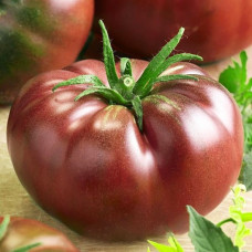 Tomato seeds Dwarf Fred's Tie Dye 10 seeds