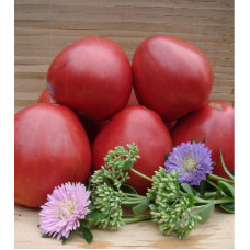 Tomato seeds Dwarf Cherokee Tiger Large 10 seeds