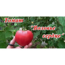 Tomato seeds Dwarf Lucky Swirl 10 seeds