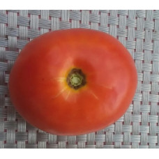 Seeds of large-fruited salad tomato Accelerate 30 seeds
