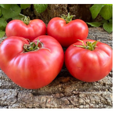 Seeds of large-fruited salad tomato Alice (Alice) 15 seeds