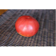 Large-fruited salad tomato seeds Ursa Major 30 seeds