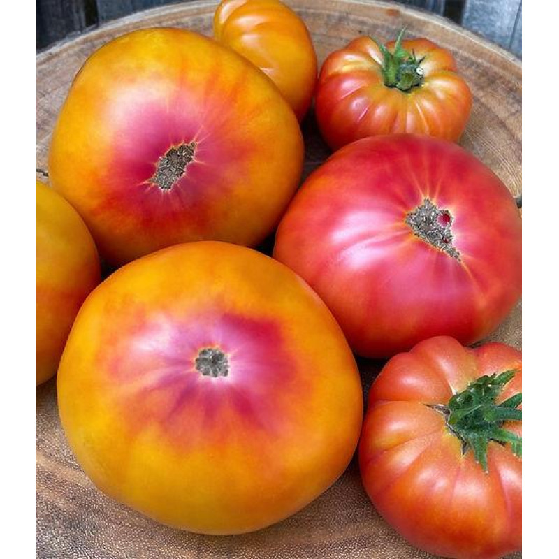 Dwarf Caitydid Tomato Seeds 10 seeds