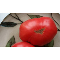 Large-fruited salad tomato seeds Pen Mira (USA) 0.1 g 30 seeds