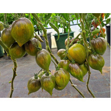 Tomato seeds Aliskino Heart 10 seeds