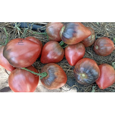 Tomato seeds Cherry Syrup 10 seeds