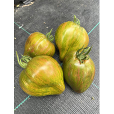 Tomato seeds Marmalade Temptation 10 seeds