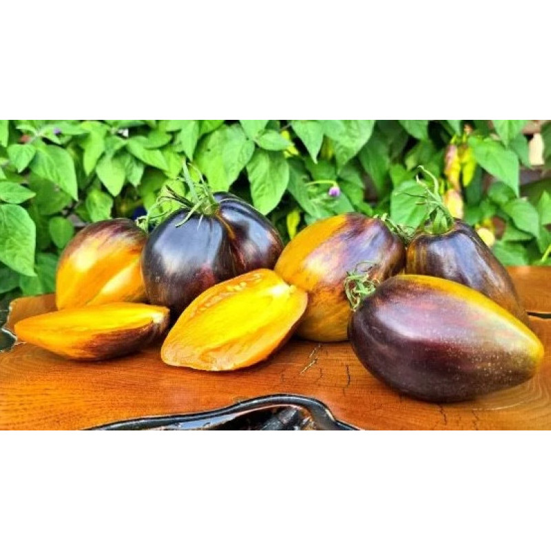 Tomato seeds Ocher Veil 10 seeds