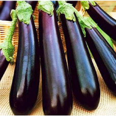 Eggplant seeds Purple miracle 30 seeds