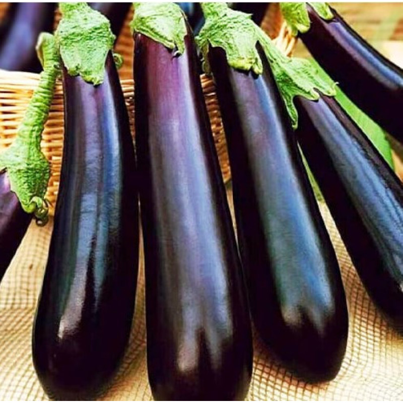 Eggplant seeds Purple miracle 30 seeds