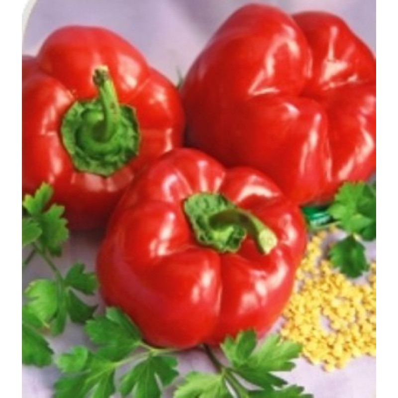 Pepper seeds Alexander 20 seeds