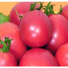 Plum tomato seeds Nastenka 30 seeds