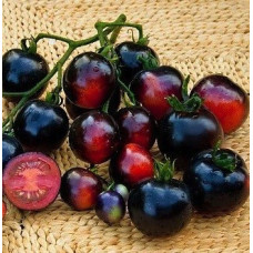 Seeds of small-fruited cherry tomato Lilac fog 30 seeds