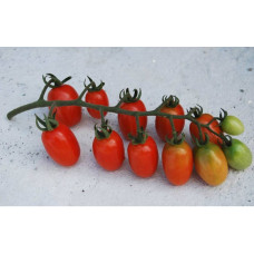 Small cherry tomato seeds Swing Ting Grape 30 seeds
