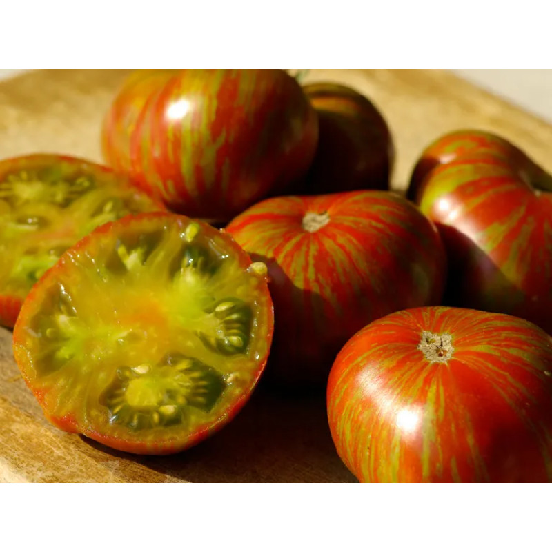 Tomato seeds Dwarf Delta Diver 50 seeds