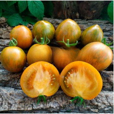 Tomato seeds Dwarf Babylon Glow 50 seeds