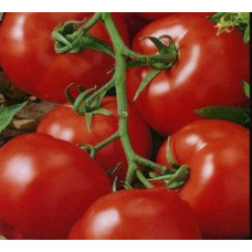 Medium-sized tomato seeds Ball 30 seeds