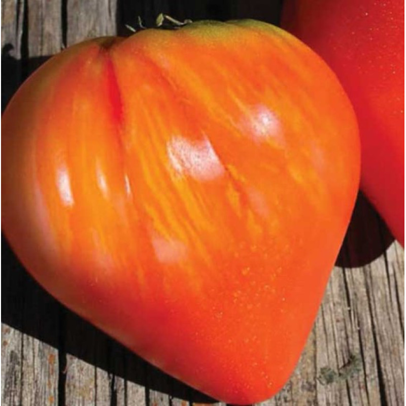 Heart-shaped tomato seeds Bull's heart 30 seeds