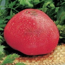 Heart-shaped tomato seeds Fatima 30 seeds