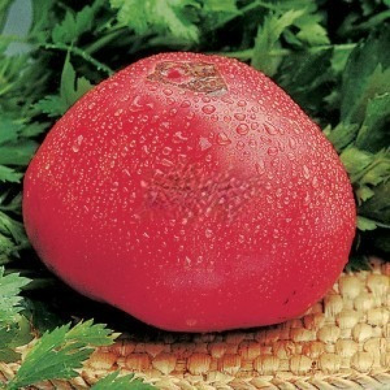 Heart-shaped tomato seeds Fatima 30 seeds