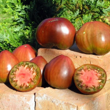 Heart Tomato Seeds Brad's Black Heart 30 Seeds
