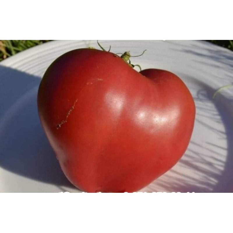 Heart Tomato Seeds Japanese Heart 30 Seeds