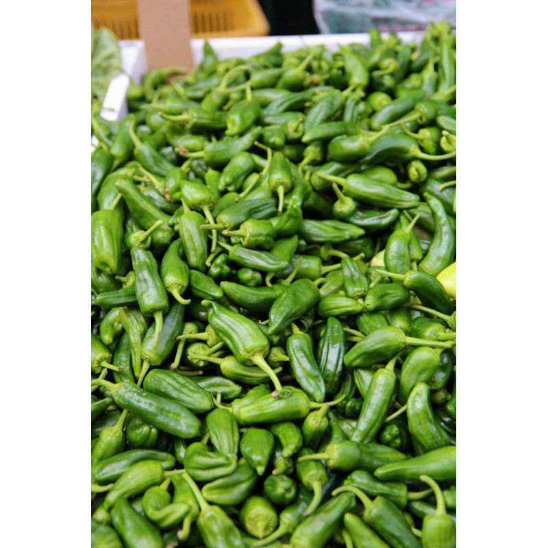 Padron pepper seeds 20 seeds
