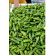 Padron pepper seeds 20 seeds