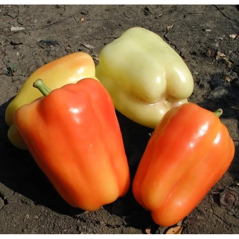 Flamingo pepper seeds 20 seeds