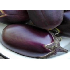 Eggplant seeds Balisso 30 seeds